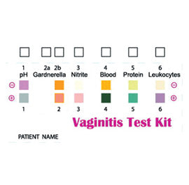 VAGINITIS PRÓF KASSA - faglegt - kort - 29111
