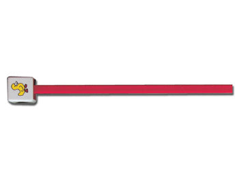 SNELLEN sjónpróf - 6 m - 23x35.5 cm - 31298