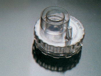 AFTUR VENTILL (inntaksventill) - 34256
