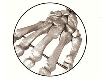 LÍKAMSKERFI - LÍKAMSTÆRÐ - 40120