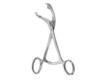 VERBRUGE bein töng - 24 cm