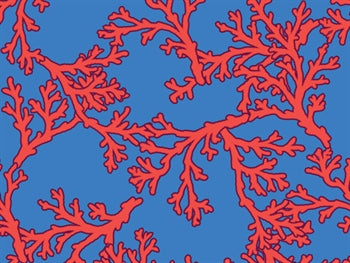 FUNNY CAP - Coral - L - 20903