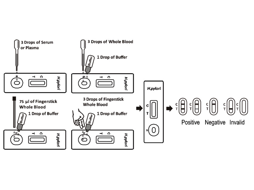 Helicobacter Pylori próf - faglegt – mynd 2