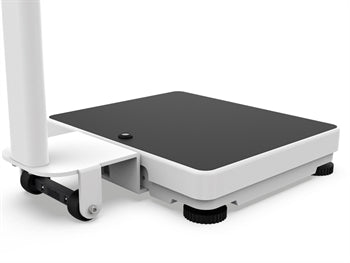 WUNDER RA300 PROFESSIONAL DIGITAL SCALE 300 kg - Class III - standard - 25003