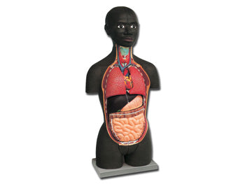 MINI TORSO - afrískur - 16 hlutar - 40001