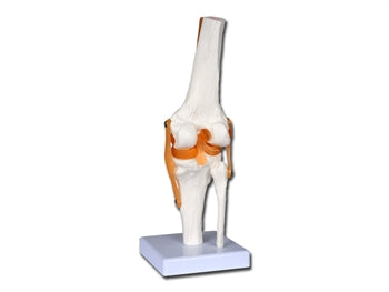 MANNLEGA HÖFUÐKÚPA - 1X - 3 hlutar - 40144