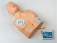 PRACTI-MAN ADVANCE Endurlífgun MANIKIN – mynd 4