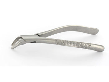 EXTRACTING FORCEPS - neðri fig.151 - 60019