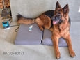 KORA VET dýna 64x40 cm - varahlutur – mynd 2