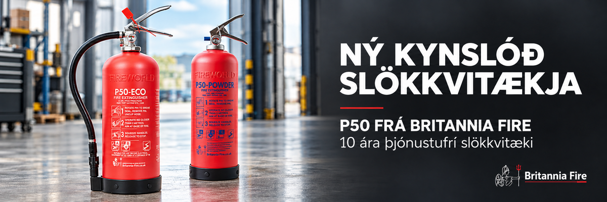 Britannia Fire P50 slökkvitæki á verkstæði – 10 ár án árlegrar þjónustu